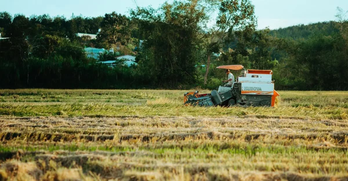 Les Pièces Détachées Indispensables pour Tracteurs Anciens