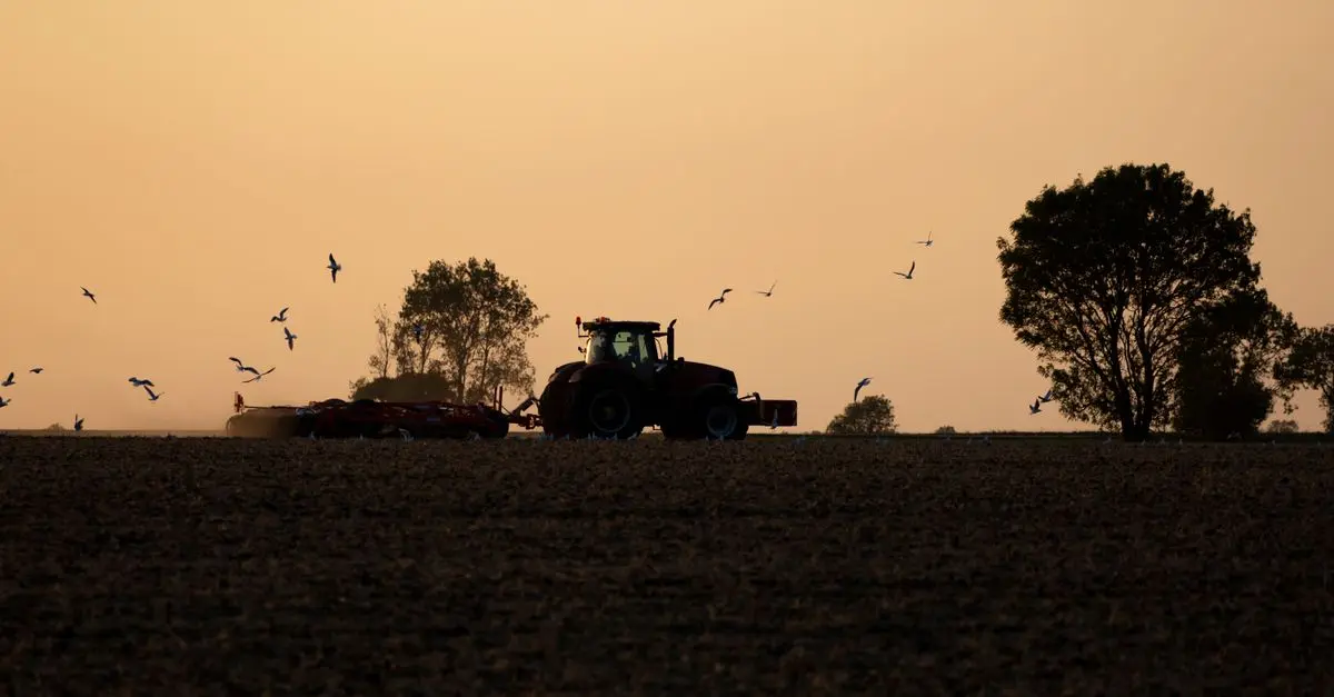 Les Meilleures Pièces Détachées pour Maximiser la Performance de Votre Tracteur