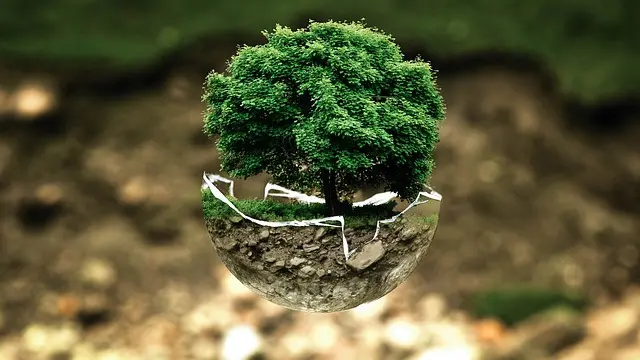 Comment Choisir les Pièces Détachées de Tracteur Écologiques