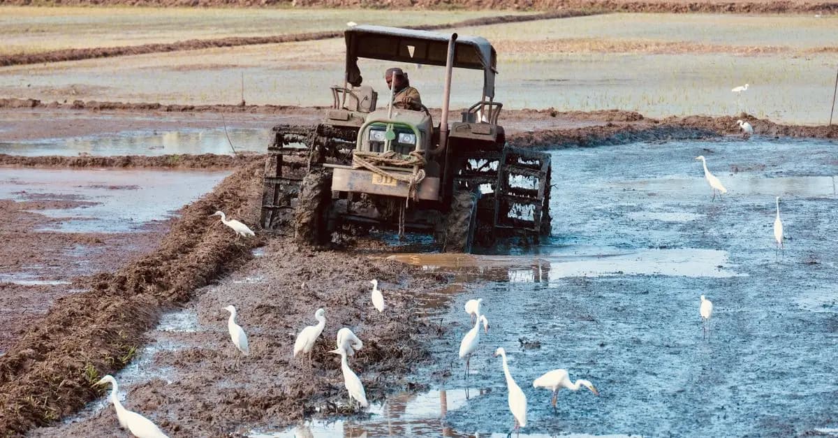 Comment Choisir les Accessoires Idéaux pour Tracteur