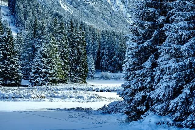 Comment Préparer Votre Tracteur pour l'Hivernage