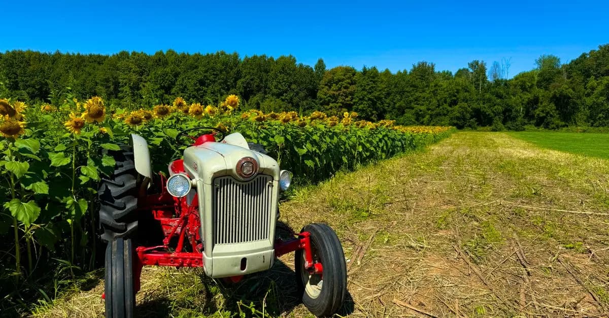 Les Meilleures Pratiques pour Entretenir les Pièces Détachées de Tracteur
