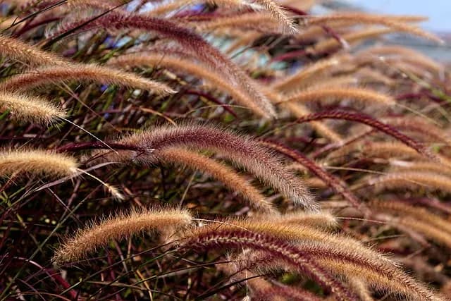 Les Pièces Détachées Écologiques pour Tracteurs : Tout Savoir