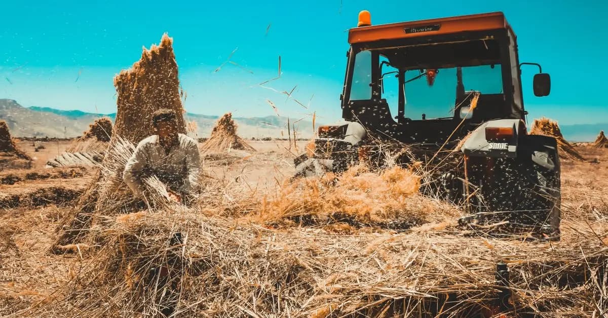 Comment Identifier les Pièces Détachées Compatibles pour Tracteur